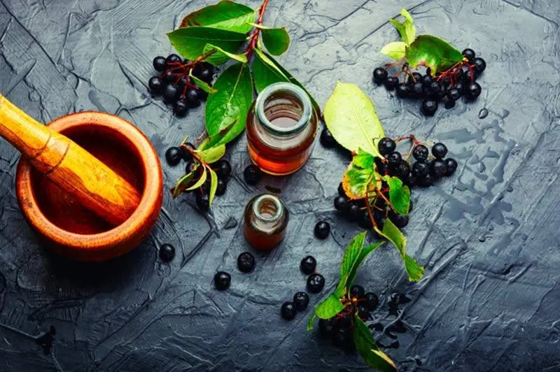 Aroniabeeren_Rezepten.jpg Aroniabeeren_Rezepten.jpg